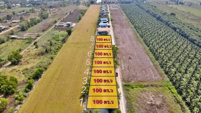 ที่ดิน 100 ตร.วา เพียง 480,000.- คลอง 8 ซอยภุชงค์ หนองเสือ ปทุมธานี 