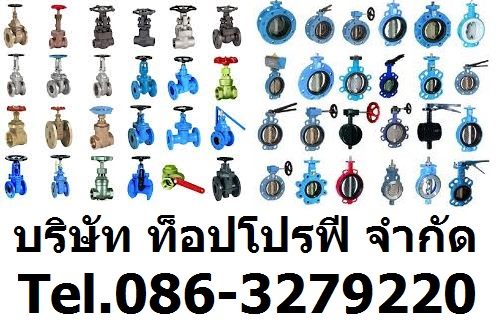 วูซังวาล์ว แพนเช็ควาล์ว เช็ควาล์วกันย้อนกลับ สวิงเช็ควาล์ว เช็ควาล์ว 0863279220